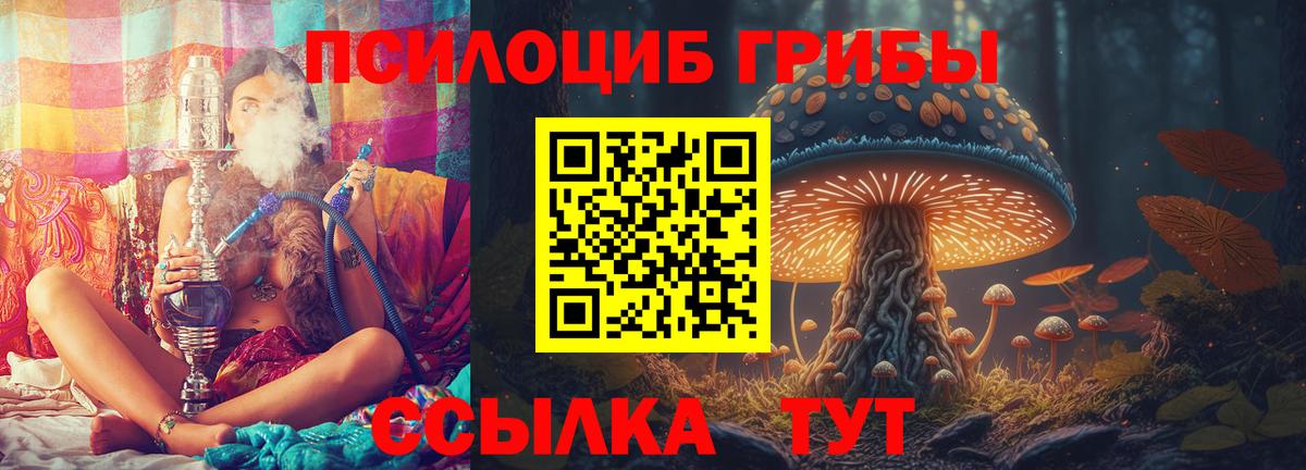 Слободской  сколько стоит  Вход с VPN  Псилоцибиновые грибы мухоморы 